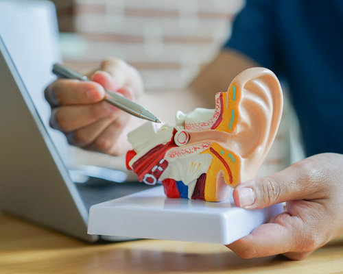 Oreille interne : comprendre son rôle et ses potentielles pathologies - ADP Assurances